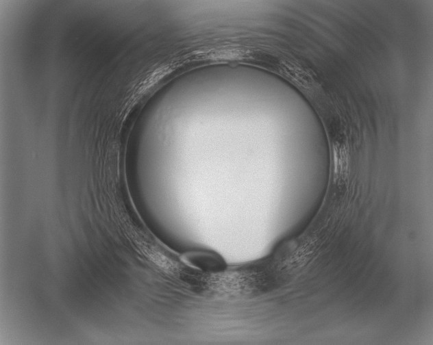 X0000052610301200507081853