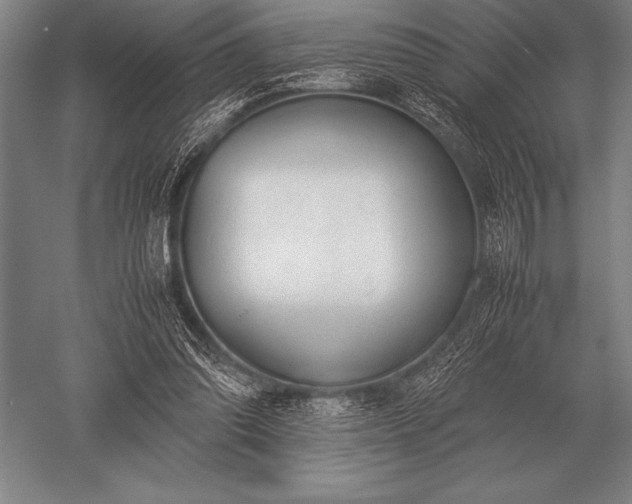 X0000052610302200507081853