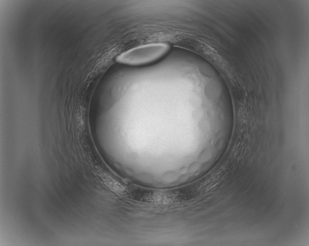 X0000052610305200507081853