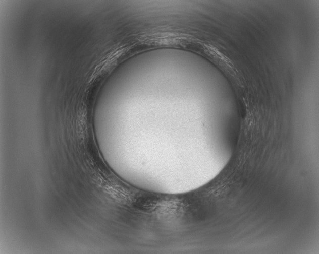 X0000052610306200507081853