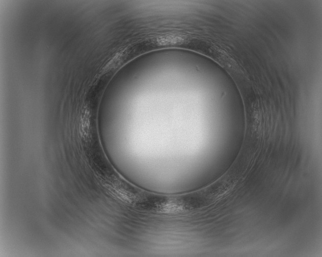 X0000052610308200507081853