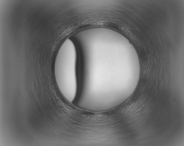 X0000052610309200507081853