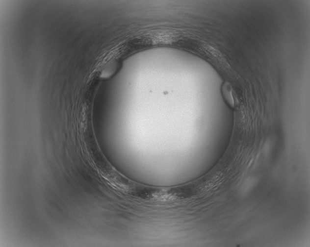 X0000052610311200507081853