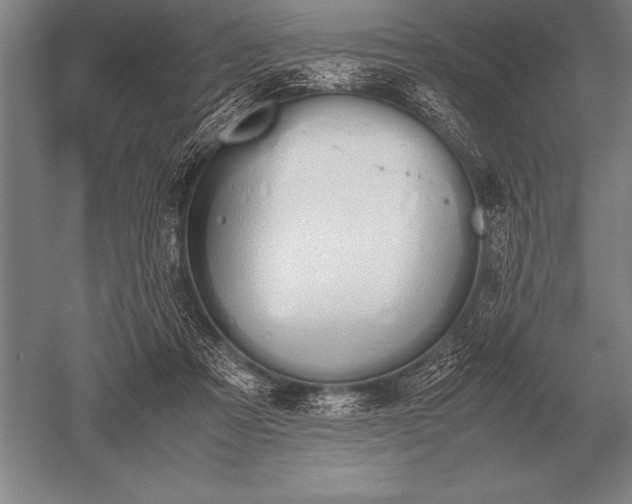 X0000052610313200507081853