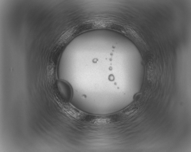 X0000052610314200507081853