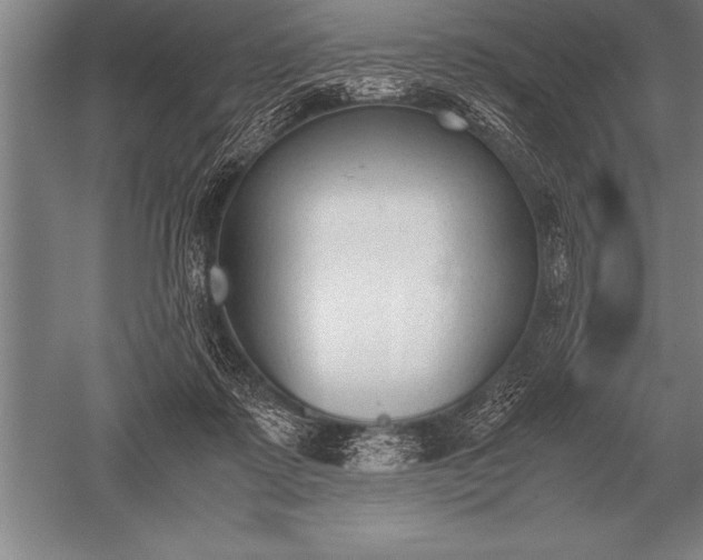 X0000052610315200507081853