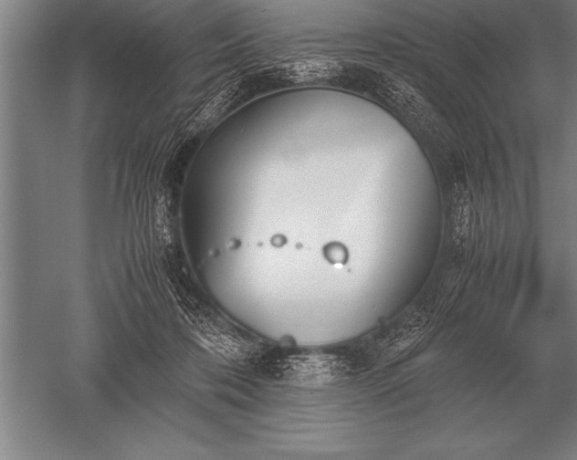 X0000052610316200507081853