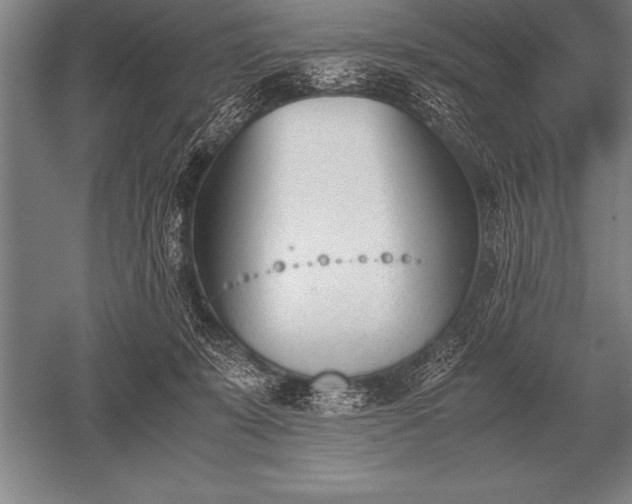 X0000052610319200507081853