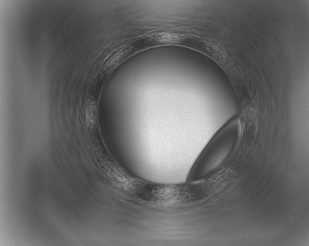 X0000052610325200507081853