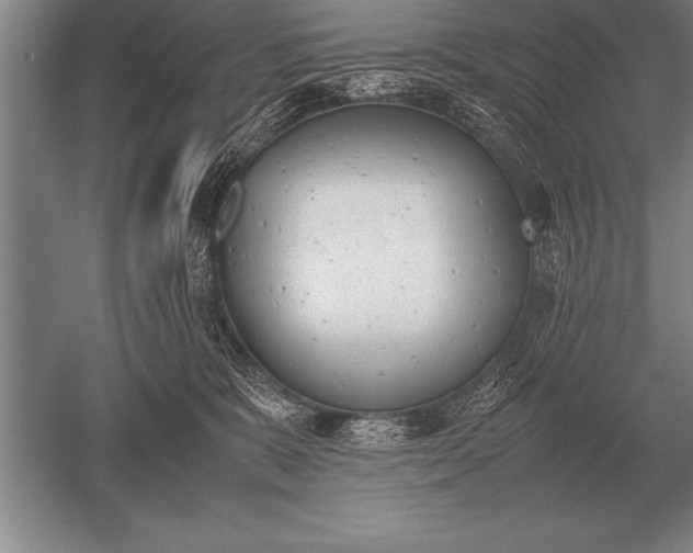 X0000052610327200507081853