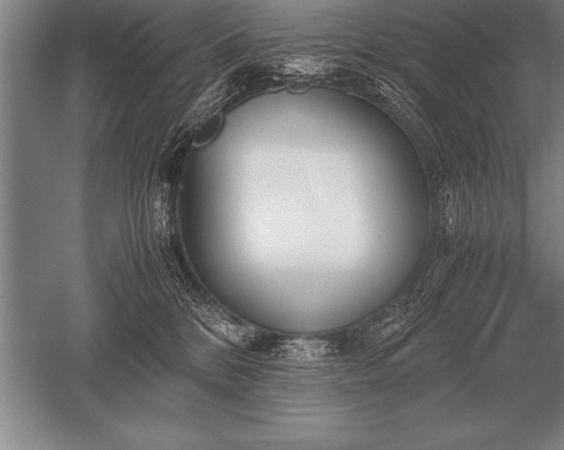 X0000052610328200507081853