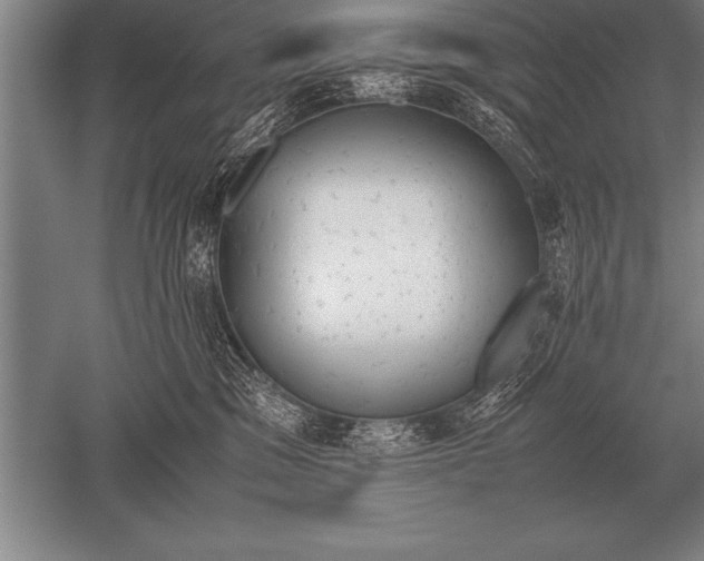 X0000052610329200507081853