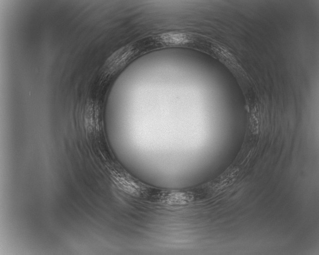 X0000052610330200507081853