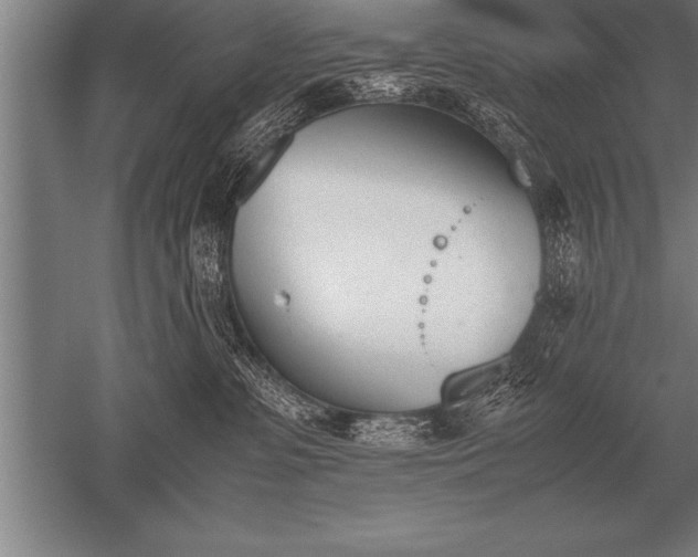 X0000052610331200507081853