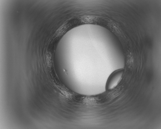 X0000052610332200507081853