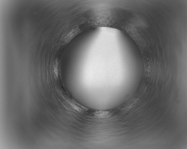 X0000052610334200507081853