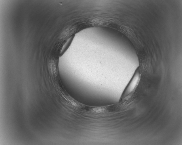 X0000052610335200507081853