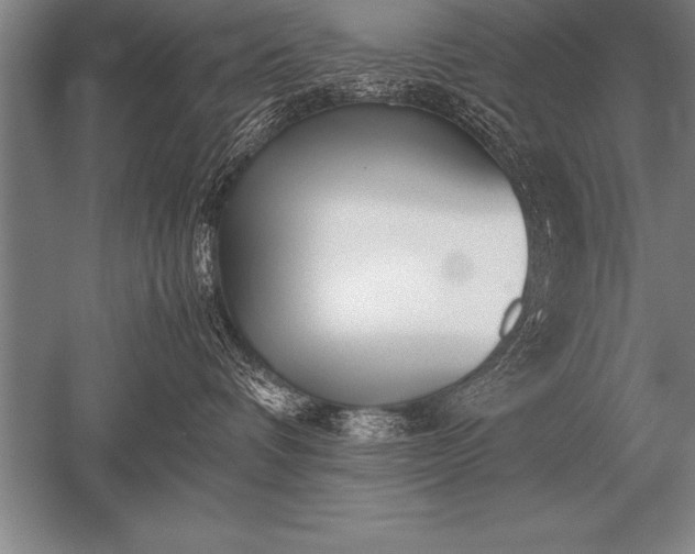 X0000052610336200507081853