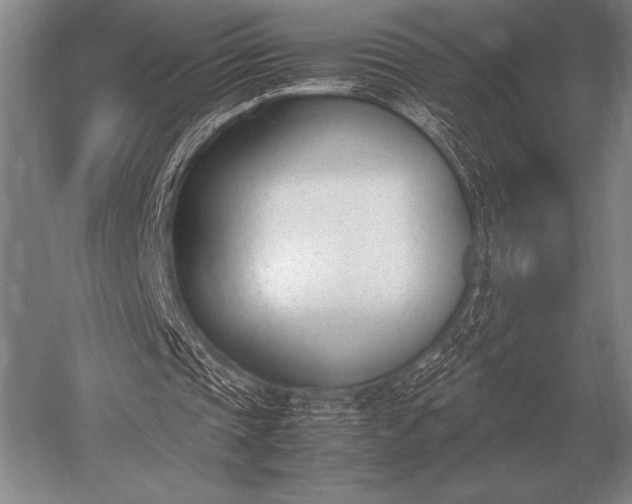 X0000052610337200507081852