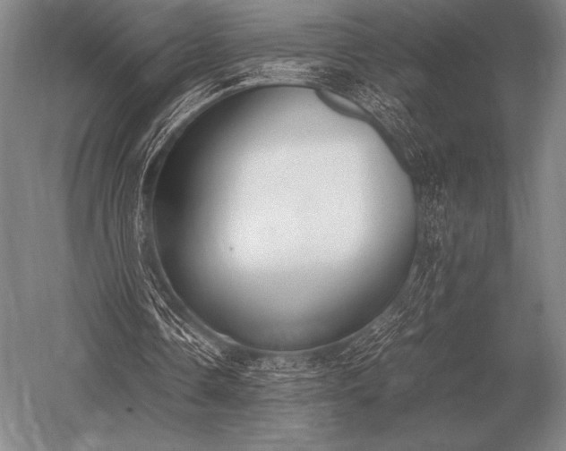 X0000052610338200507081852