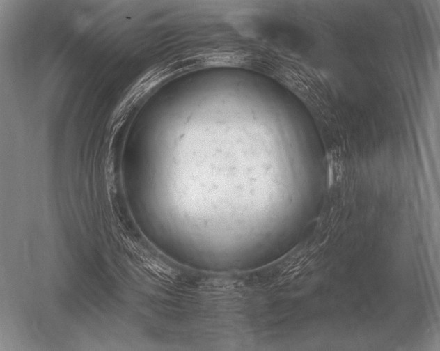 X0000052610339200507081852