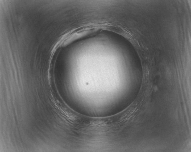 X0000052610340200507081852