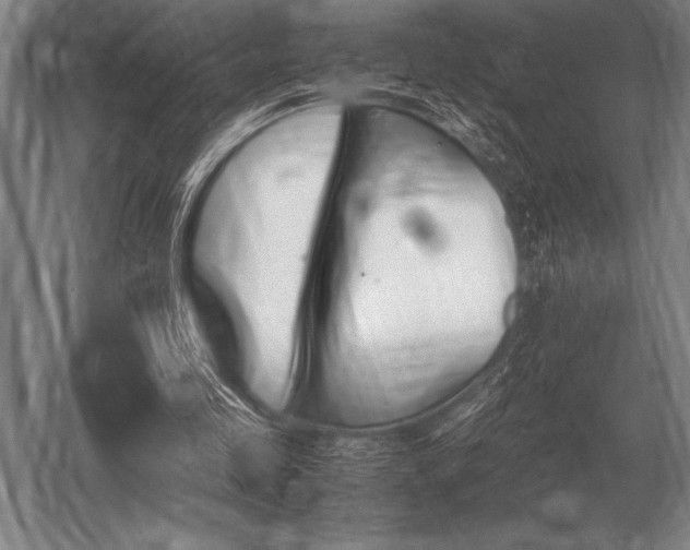 X0000052610341200507081852