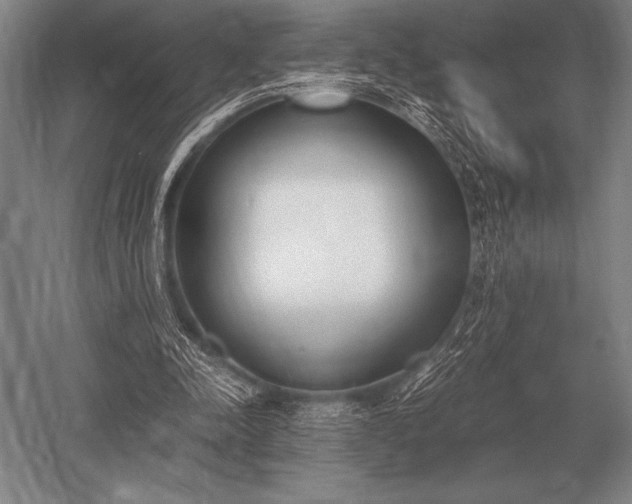 X0000052610342200507081852