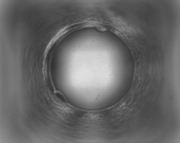 X0000052610343200507081852