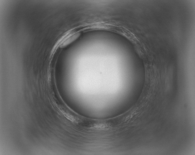 X0000052610344200507081852