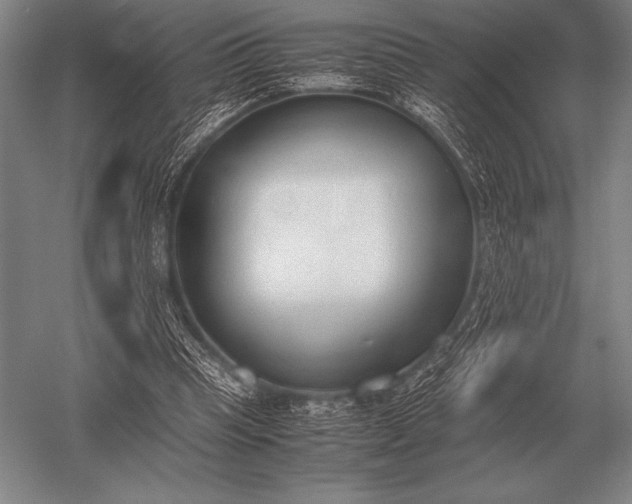 X0000052610345200507081852