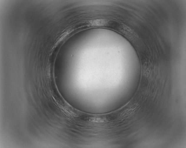 X0000052610347200507081852