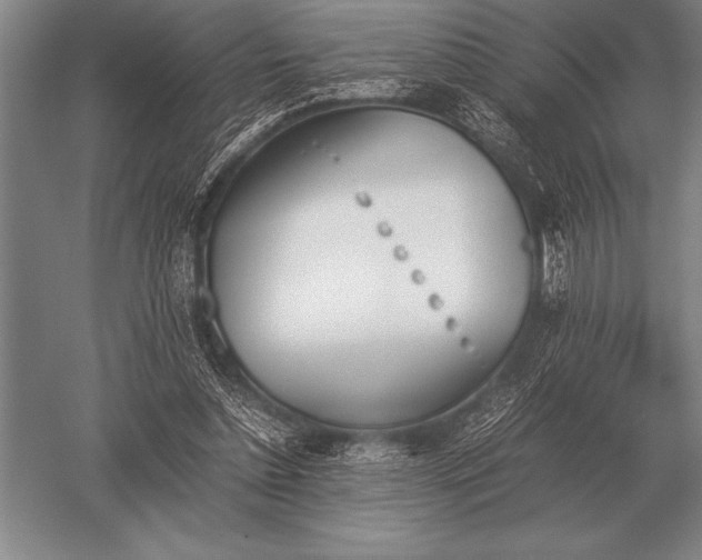 X0000052610348200507081852