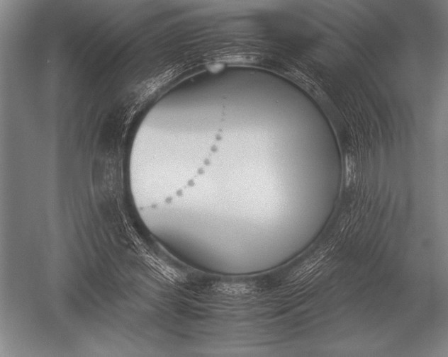 X0000052610349200507081852