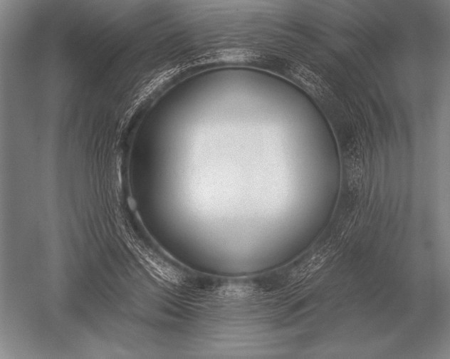 X0000052610350200507081852