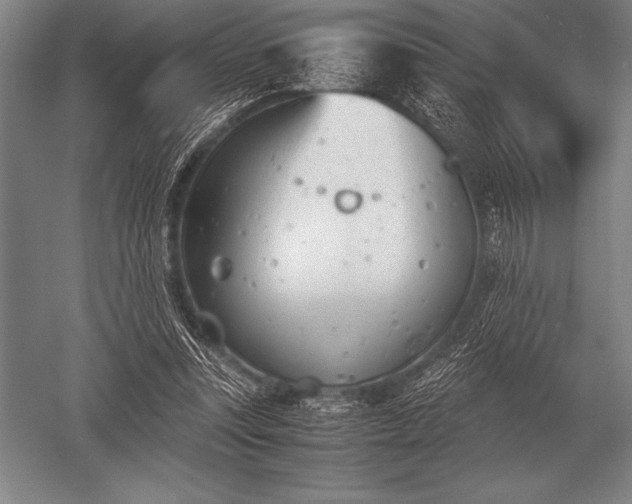 X0000052610351200507081852