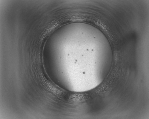 X0000052610353200507081852