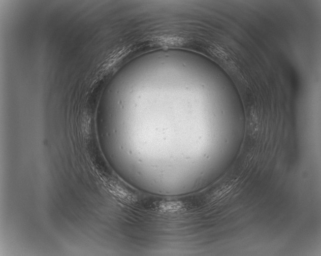 X0000052610355200507081852