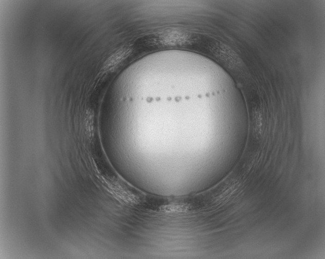 X0000052610356200507081852