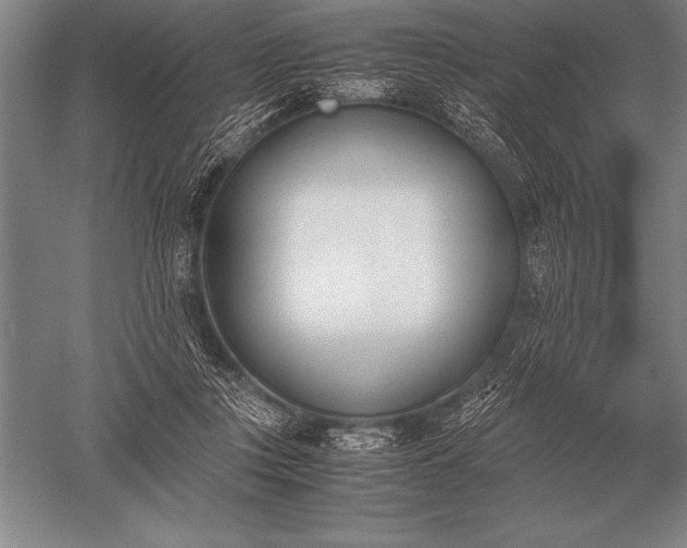 X0000052610359200507081852