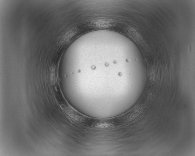 X0000052610360200507081852