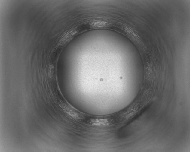 X0000052610361200507081852