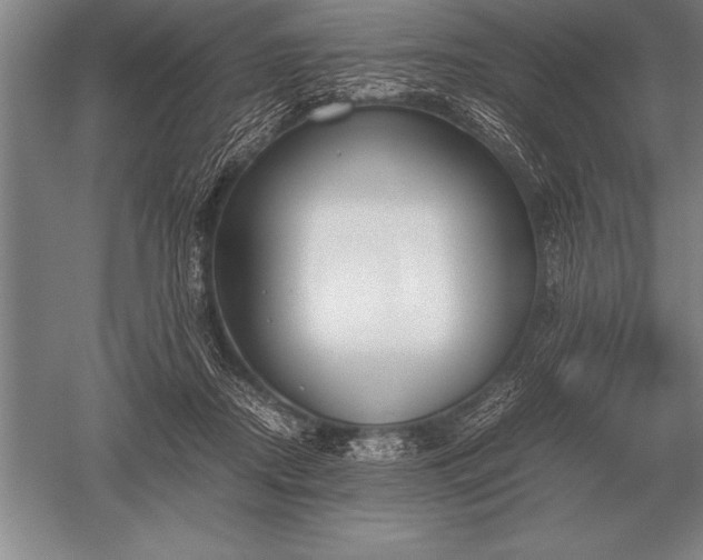 X0000052610362200507081852