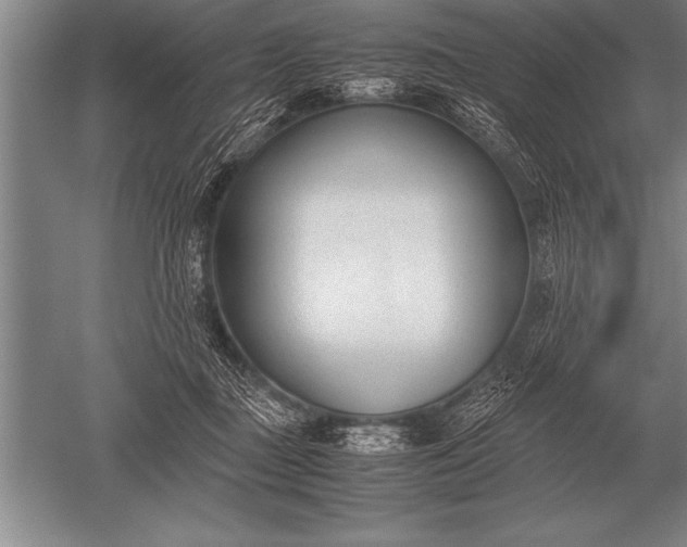 X0000052610363200507081852