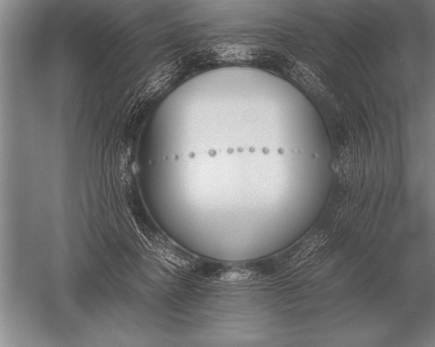 X0000052610364200507081852