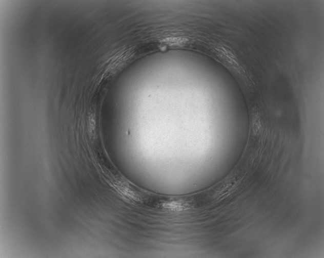 X0000052610365200507081852