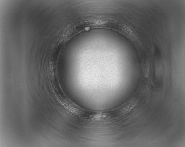 X0000052610366200507081852