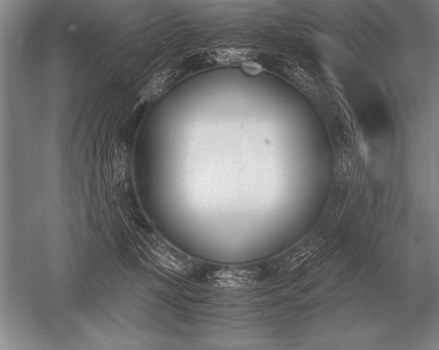 X0000052610367200507081852