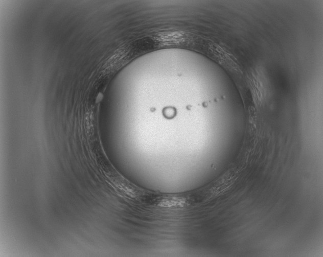 X0000052610369200507081852