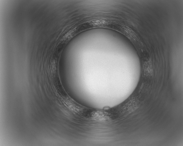 X0000052610372200507081853